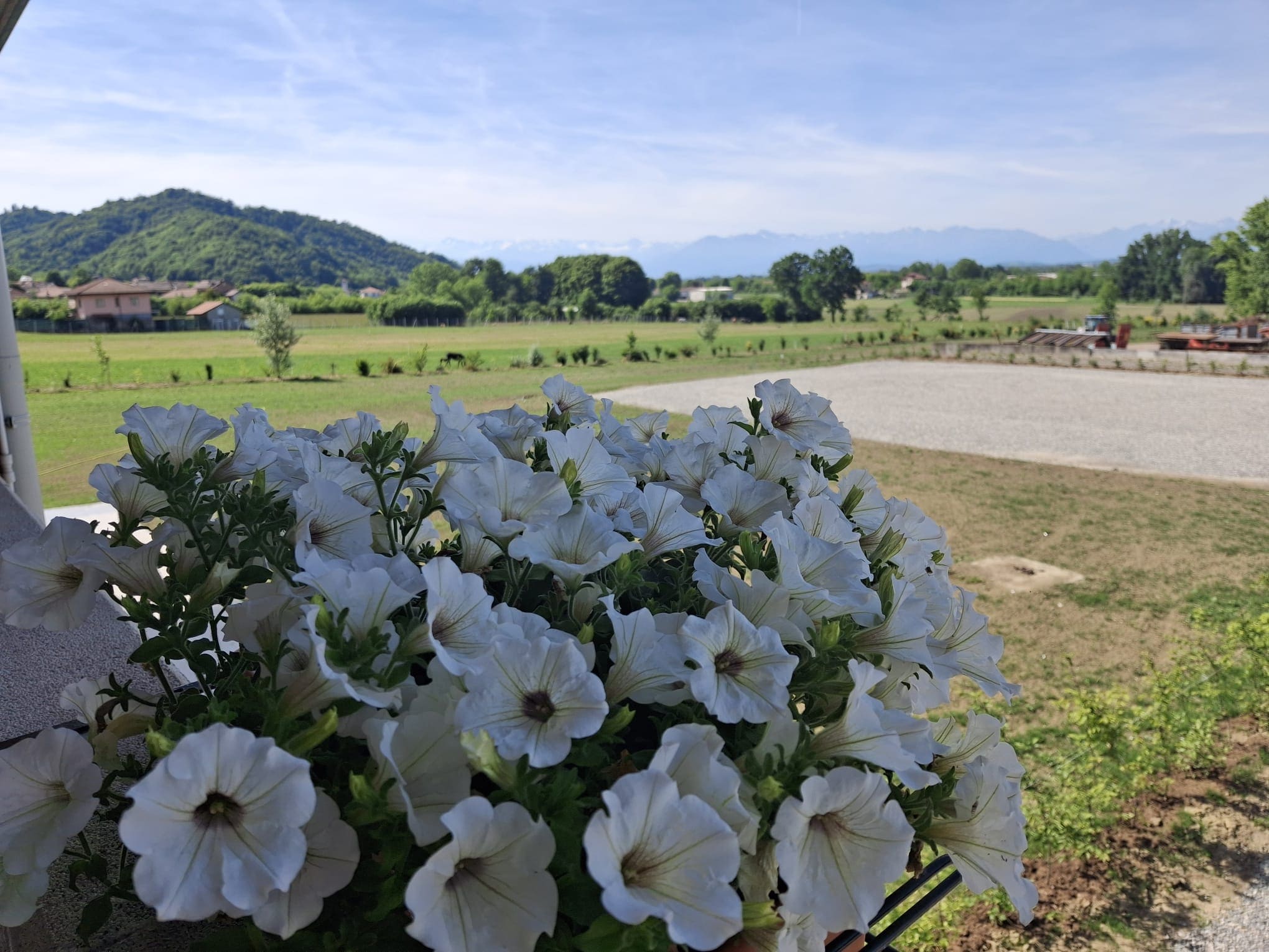 Esterno con fiori